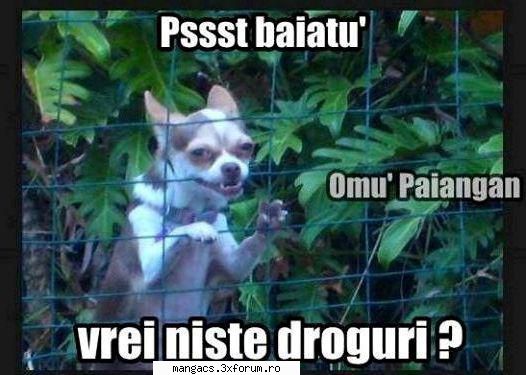 PACK CFG-URI DEFAULT ORIGINALE !!! - Y2K - Counter-Strike 1.6 Cheats